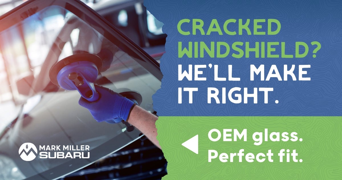 Rock Chip & Windshield